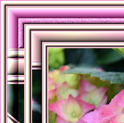 rosa hortensieecke
